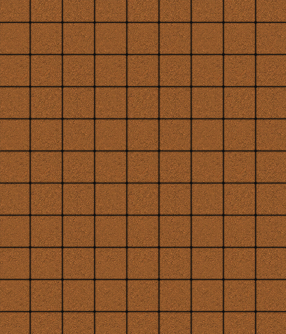 Тротуарная плитка Ла-Линия 100  ✕ 200 Стандарт Оранжевый 60